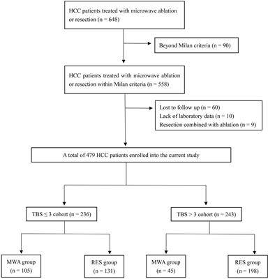 The tumor burden score may be a discriminator in microwave ablation versus liver resection for hepatocellular carcinoma within the Milan criteria: a propensity score matching and inverse probability of treatment weighting study